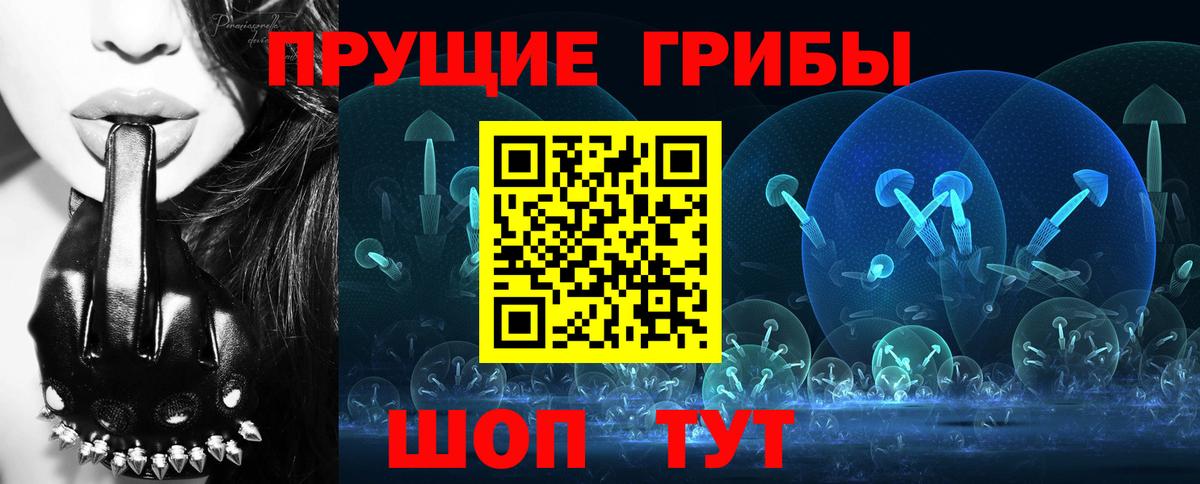 Галлюциногенные грибы Cubensis  Вход с VPN  Великий Устюг  Галлюциногенные грибы Cubensis 